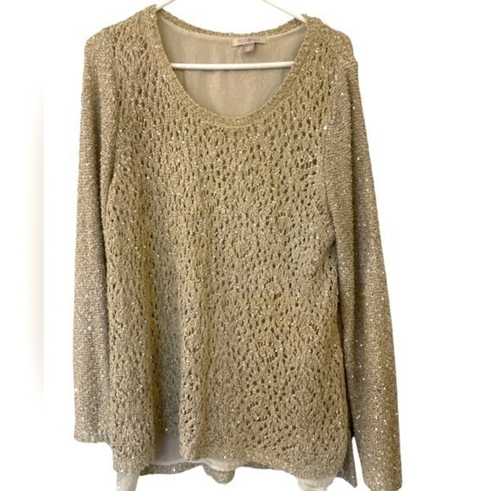 ROZ&ALI shimmery v neck crotchet sweater in neutral beige plus size Size2x L